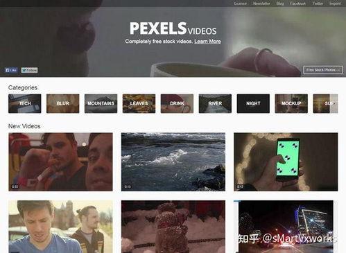 爆料丑照视频素材高清无水印,网络暴力下的隐私危机