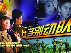 女子别动队在线观看,热血青春，守护正义的青春传奇